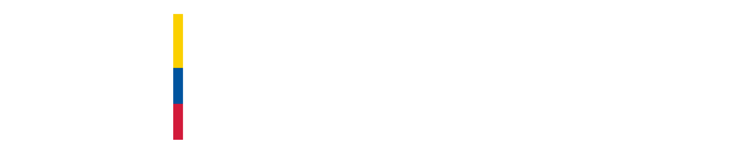 logo hospital mental
